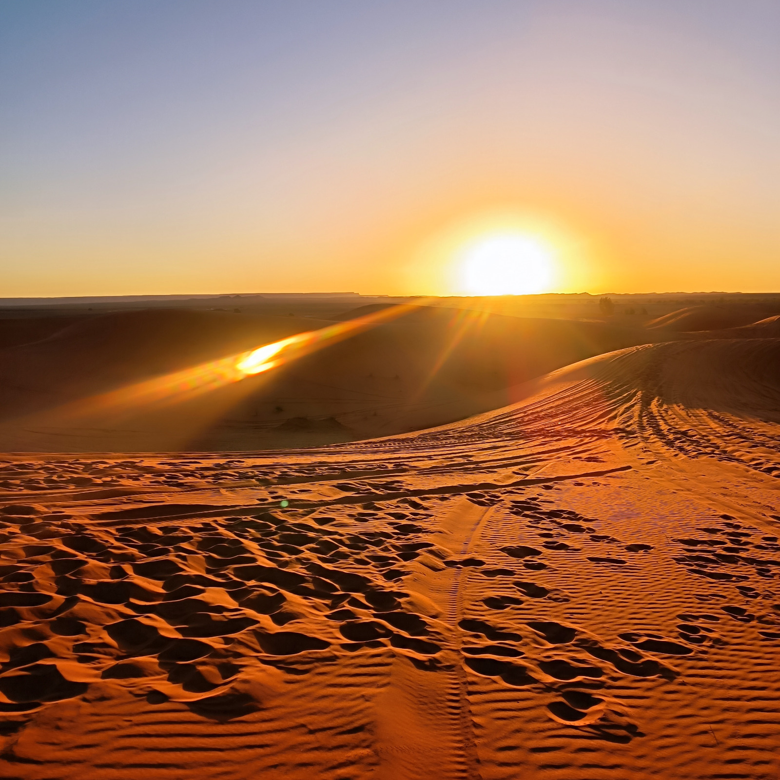 Il sole sorge sulle dune del Sahara